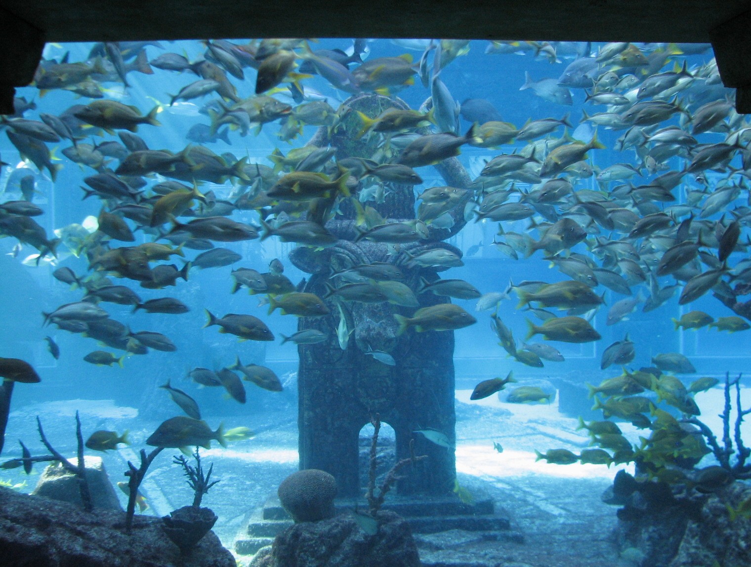 The Dig - Ruins Lagoon