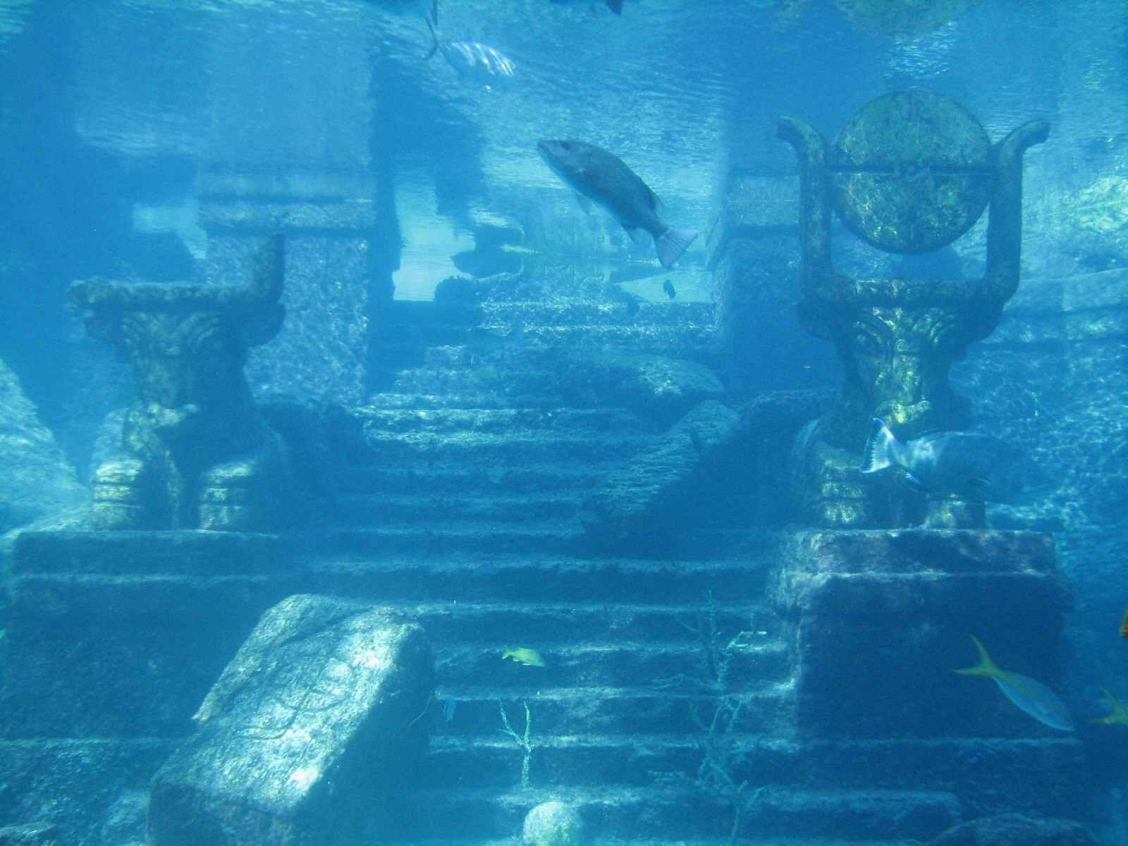 The Dig - Ruins Lagoon