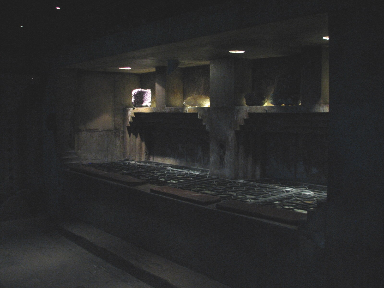 The Dig - Sea Star and Horseshoe Crab Touch Tank