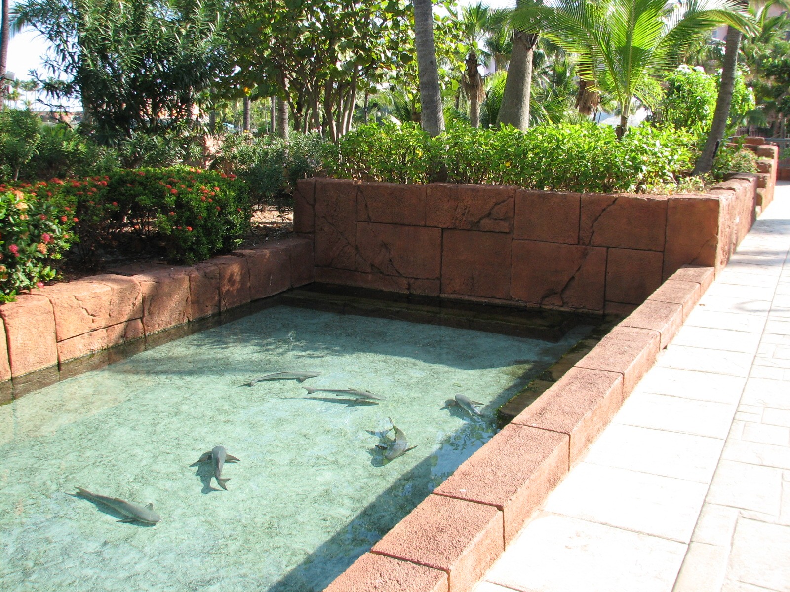 The Dig - Shallow Shelf of Ruins Lagoon