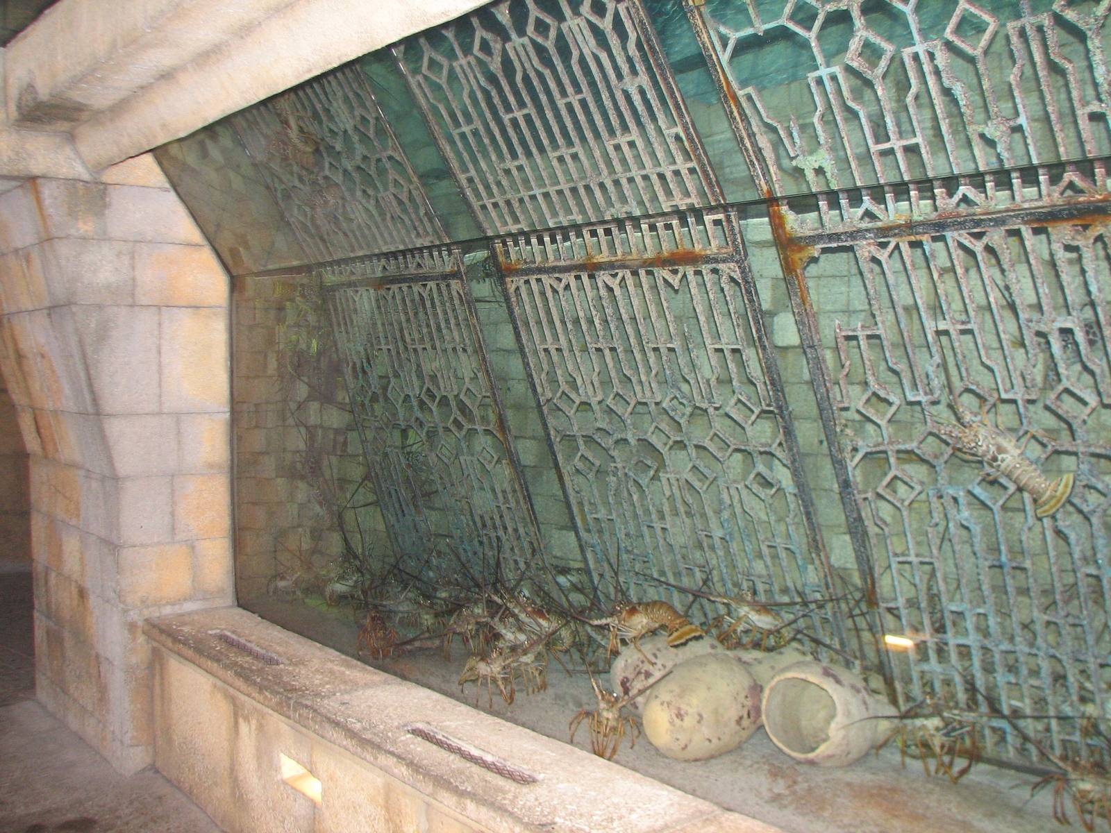 The Dig - Spiny Lobster Exhibit