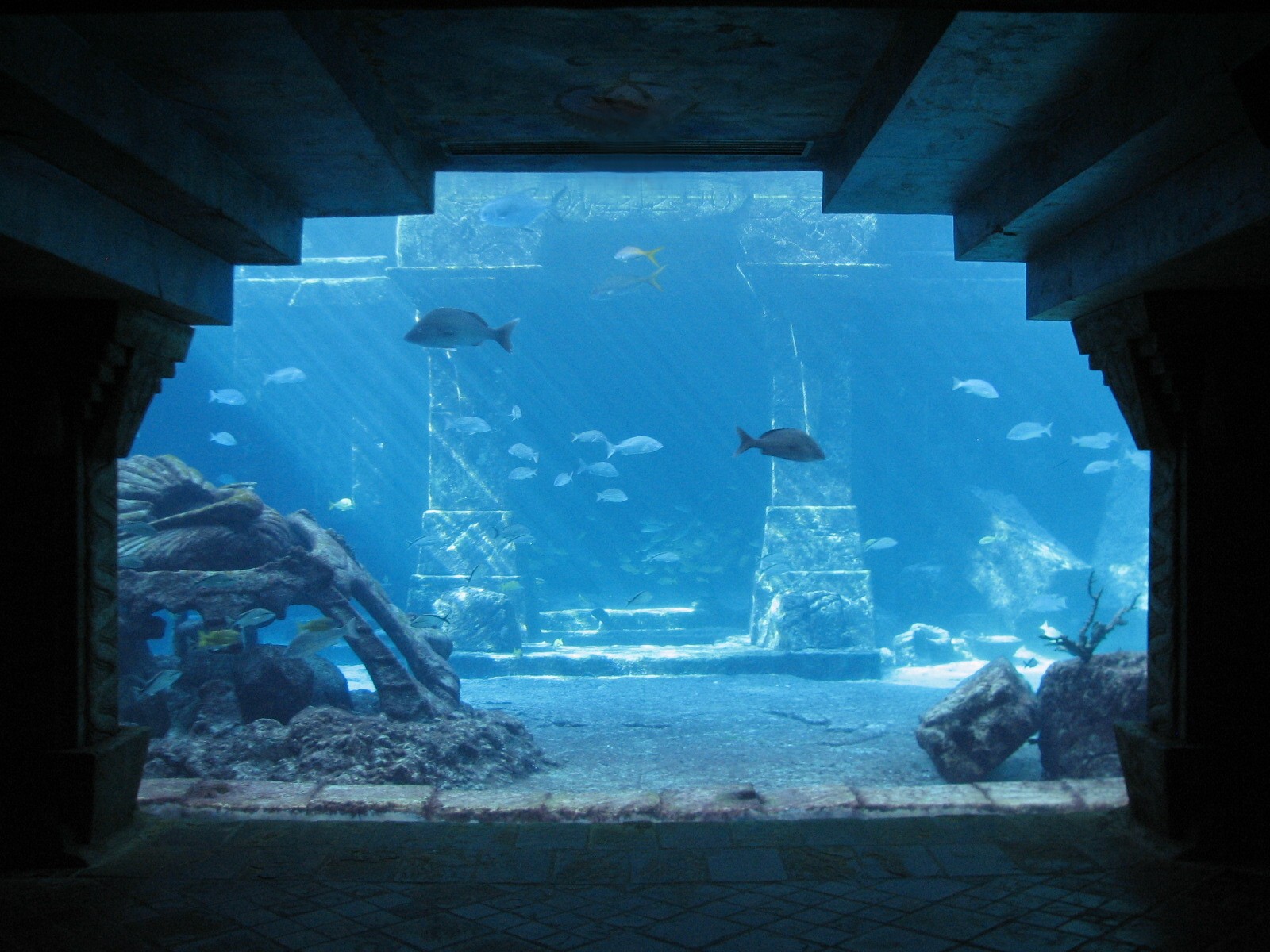 The Dig - View to Ruins Lagoon