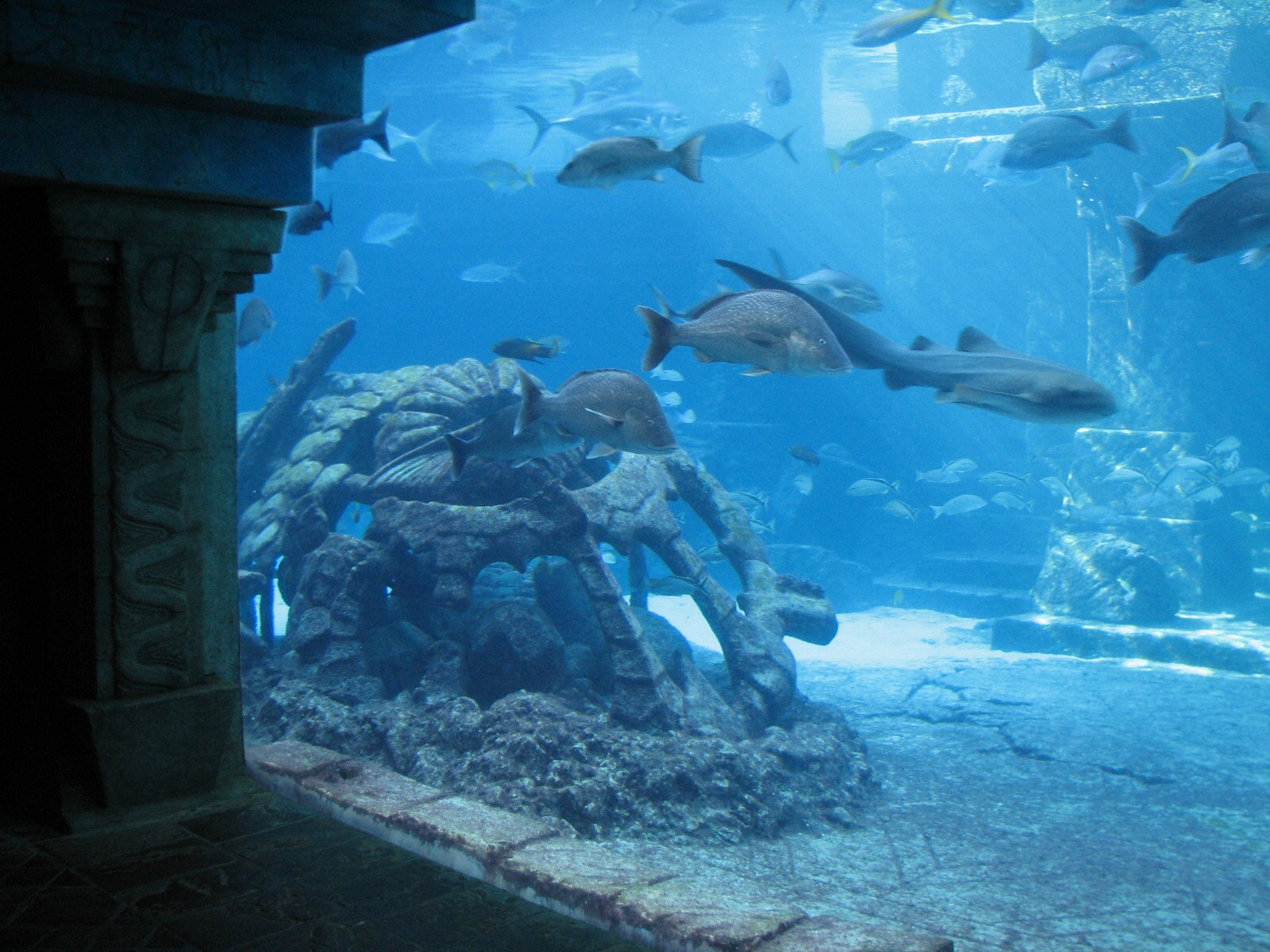 The Dig - View to Ruins Lagoon