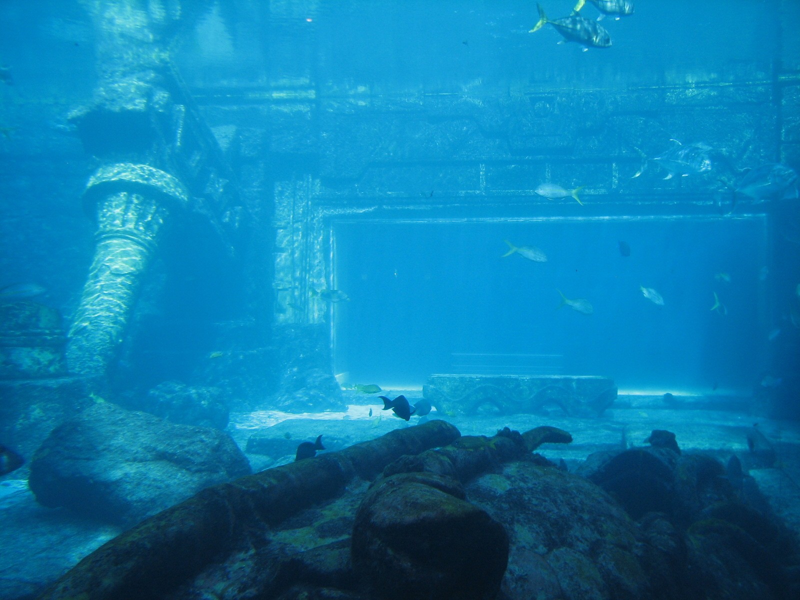 The Dig - View to Ruins Lagoon