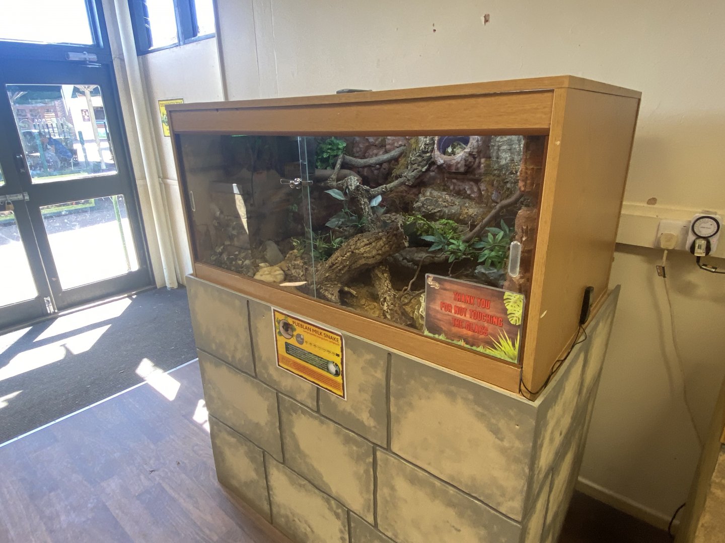 The Dissscovery Zone - Pueblan milk snake exhibit 110722