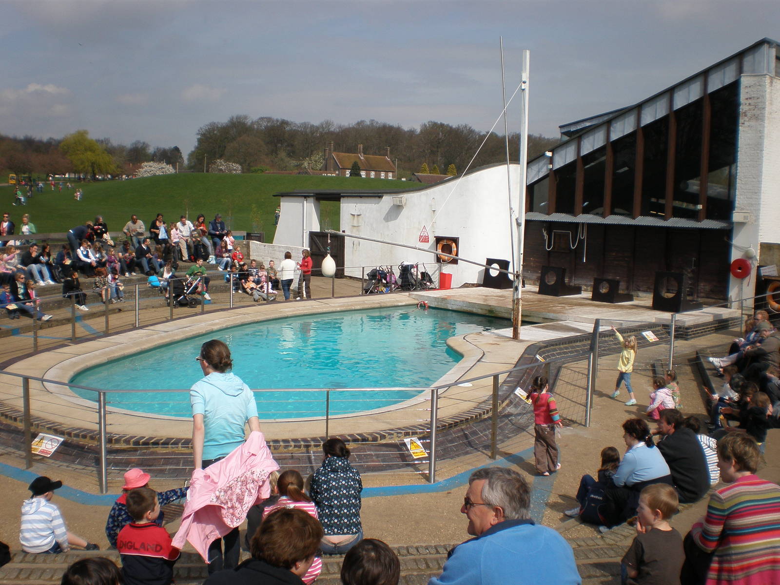The Dolphinarium (Sea Lion Show)