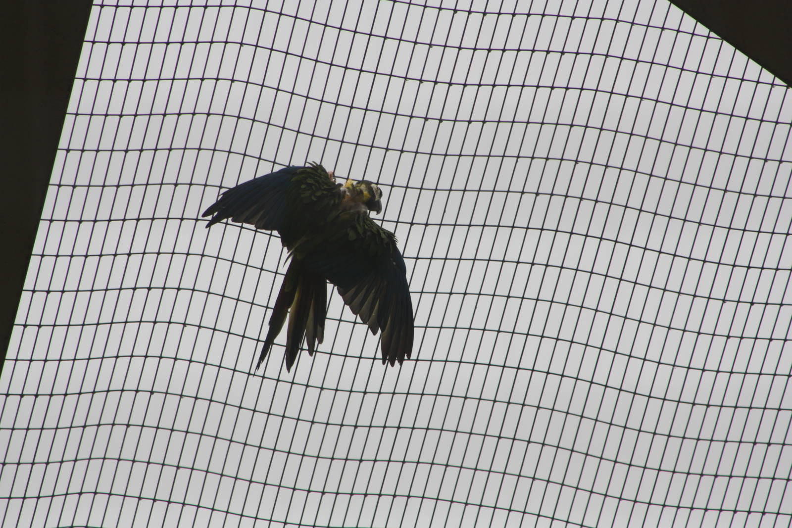 The downpour was enjoyed by some, 7th July 2014