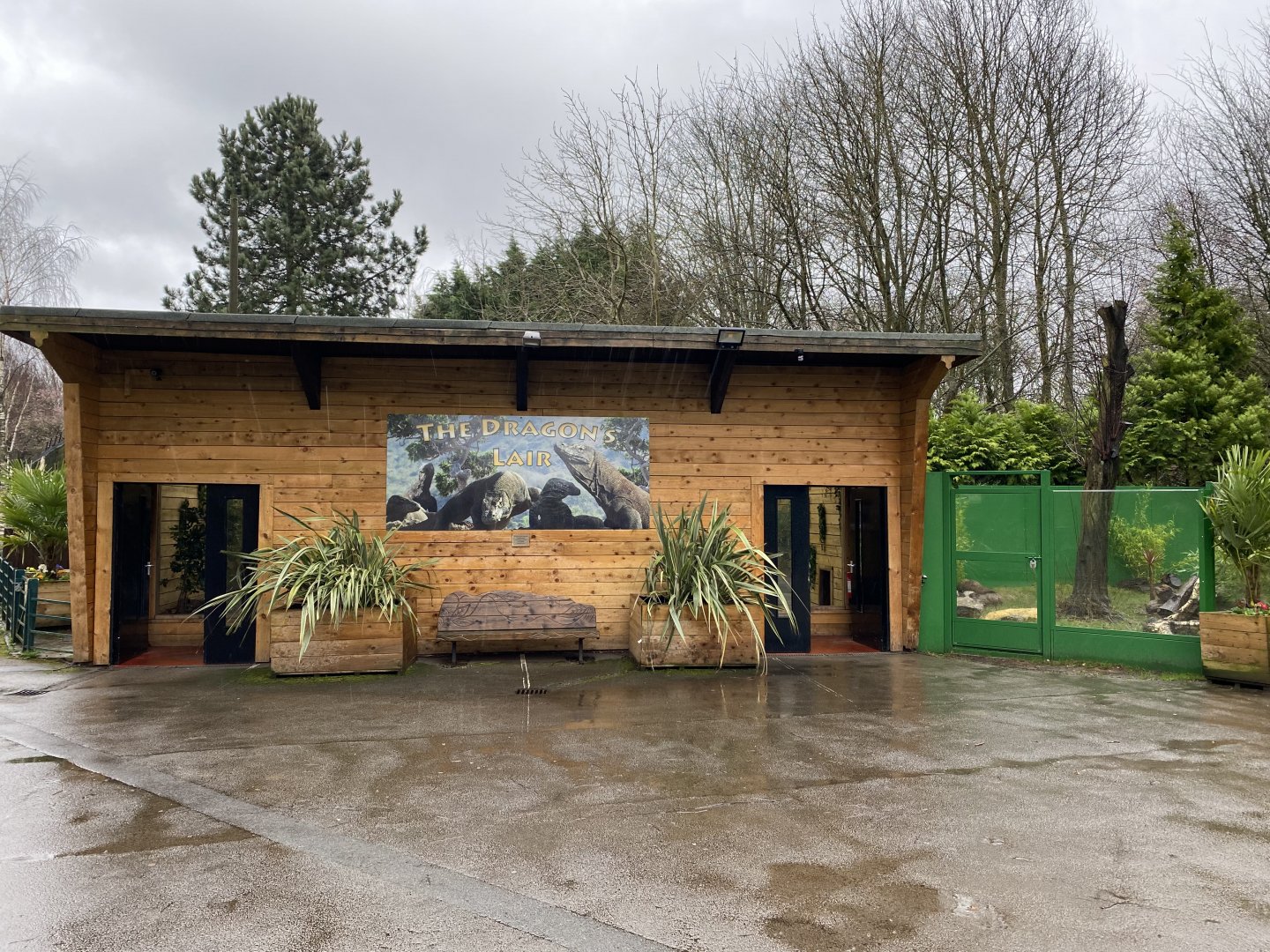 The Dragon's Lair - Komodo dragon exhibit 150220