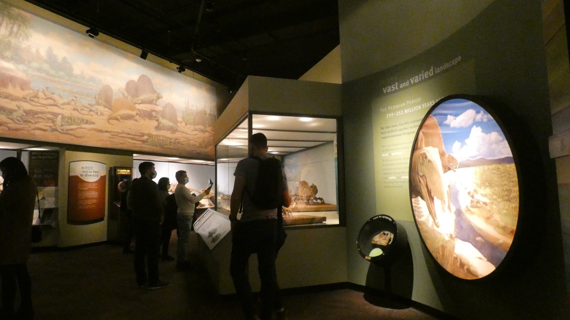 The Earliest Dinosaurs, Evolving Planet - Feb. 2022