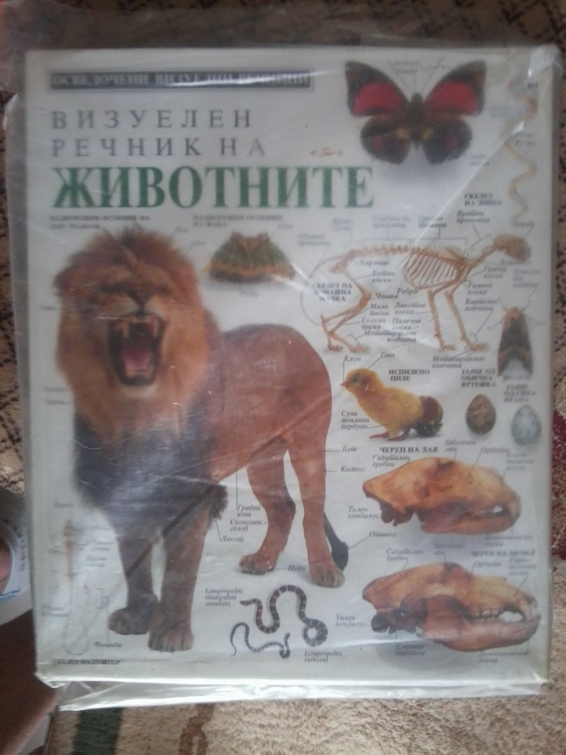 The earliest zoology books that I have got