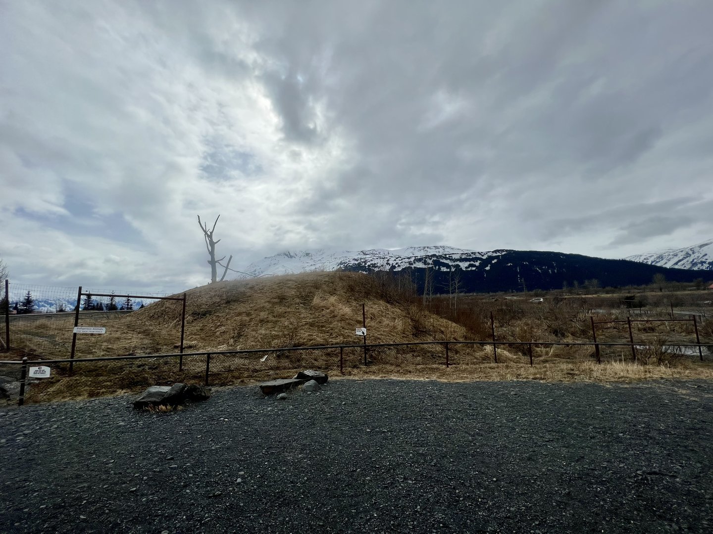 The east side of the Black Bear Exhibit