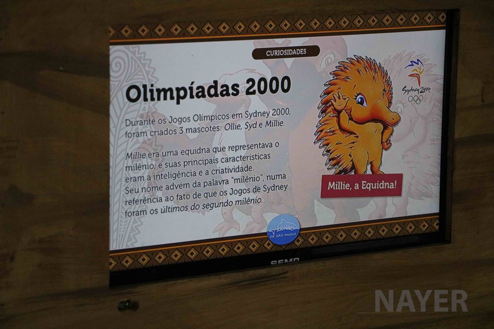 The echidna as an Olympic mascot, April 2016