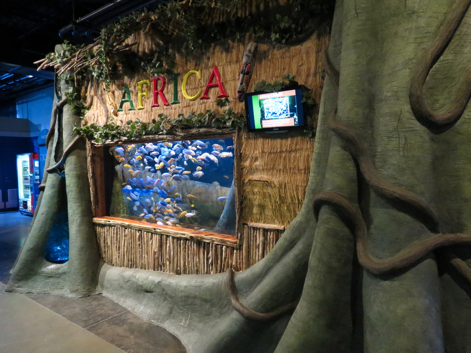The Ecozone - African Cichlids Exhibit