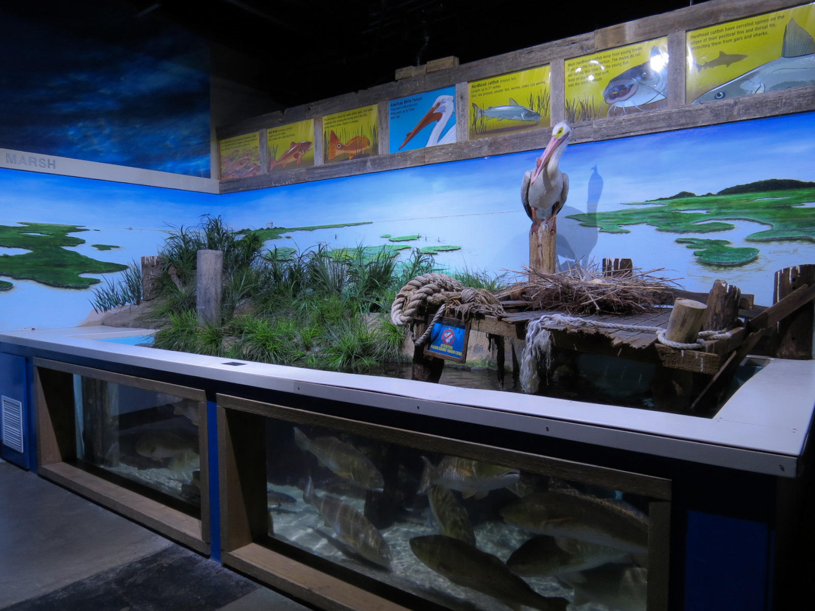 The Ecozone - Coastal Marsh Exhibit