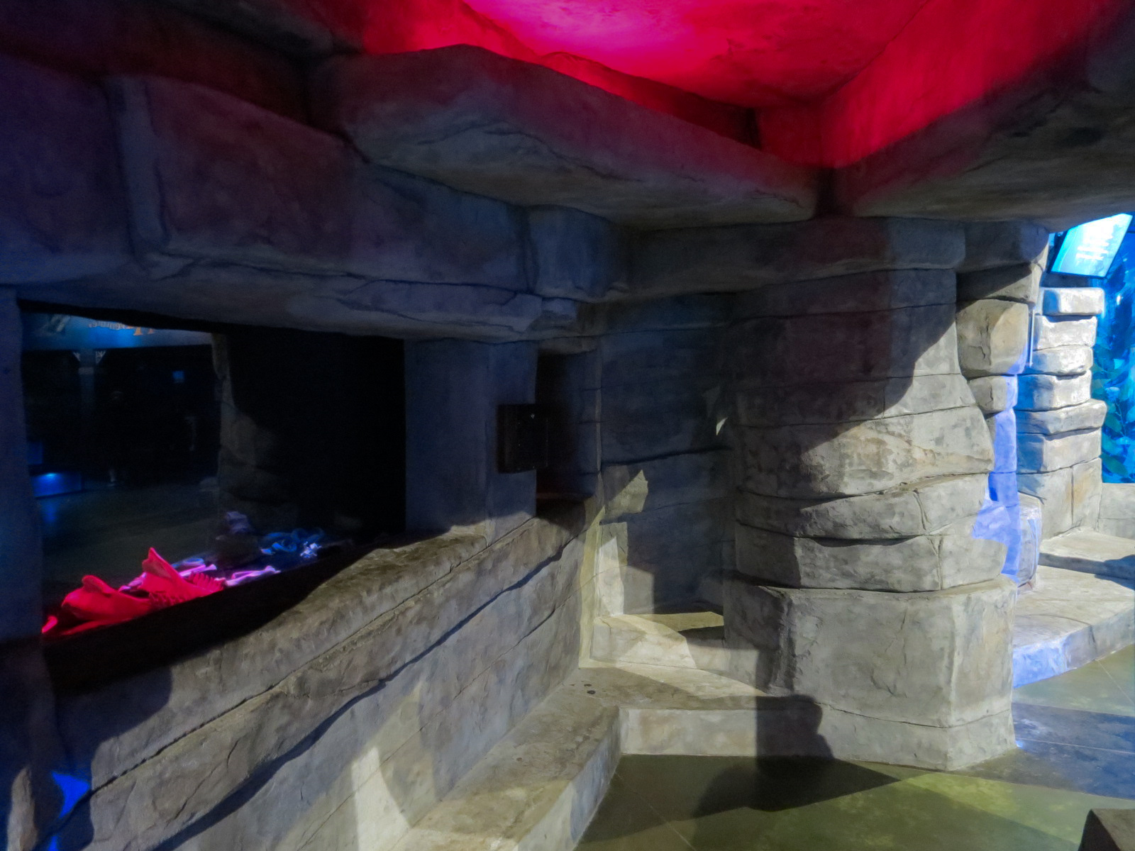 The Ecozone - Discovery Caves