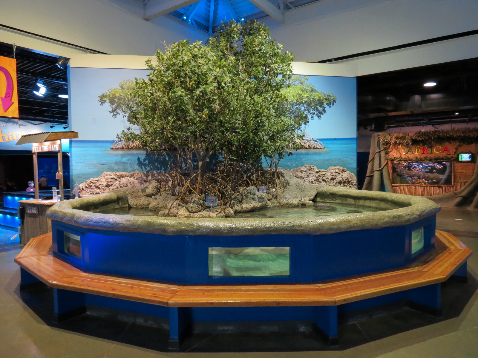 The Ecozone - Shark and Ray Touch