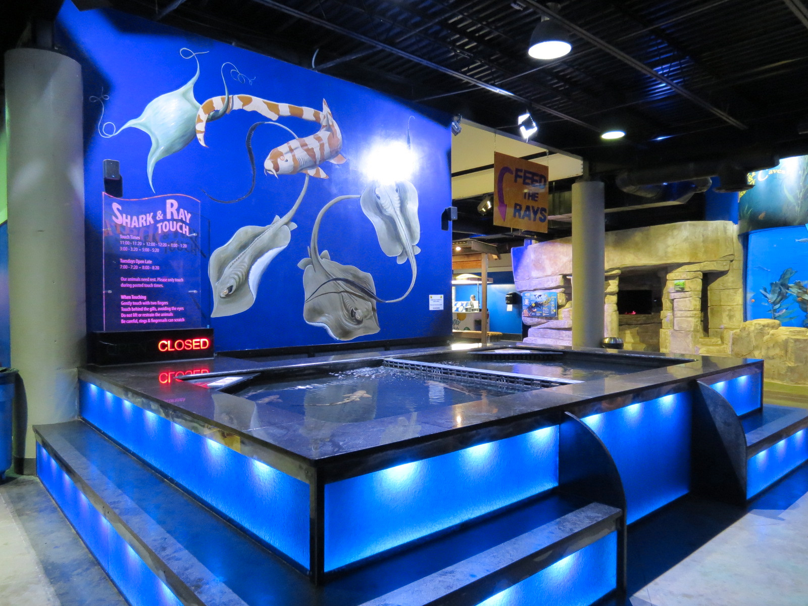 The Ecozone - Shark and Ray Touch