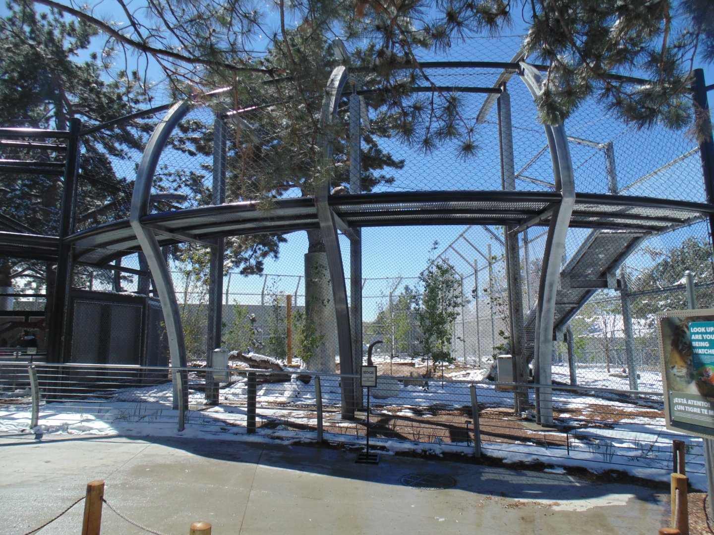 The Edge New Tiger Exhibit 2017