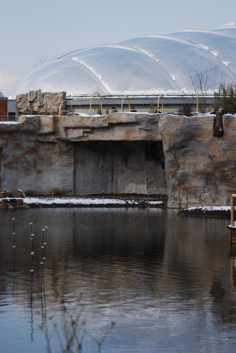 The ELE Tropicalhall