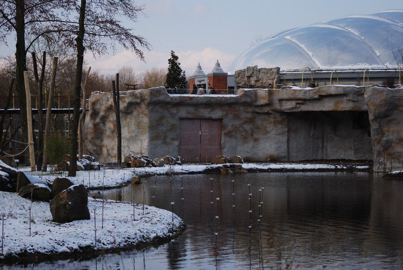 The ELE Tropicalhall