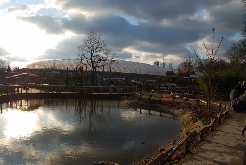 The ELE Tropicalhall