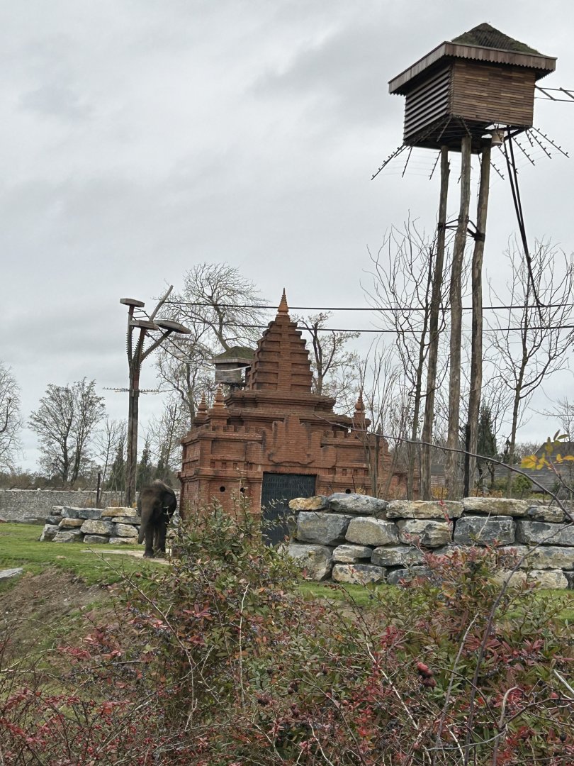 The elephant savannah seen from the train route