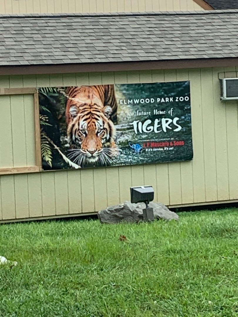 The Elmwood Park Zoo is getting Tigers