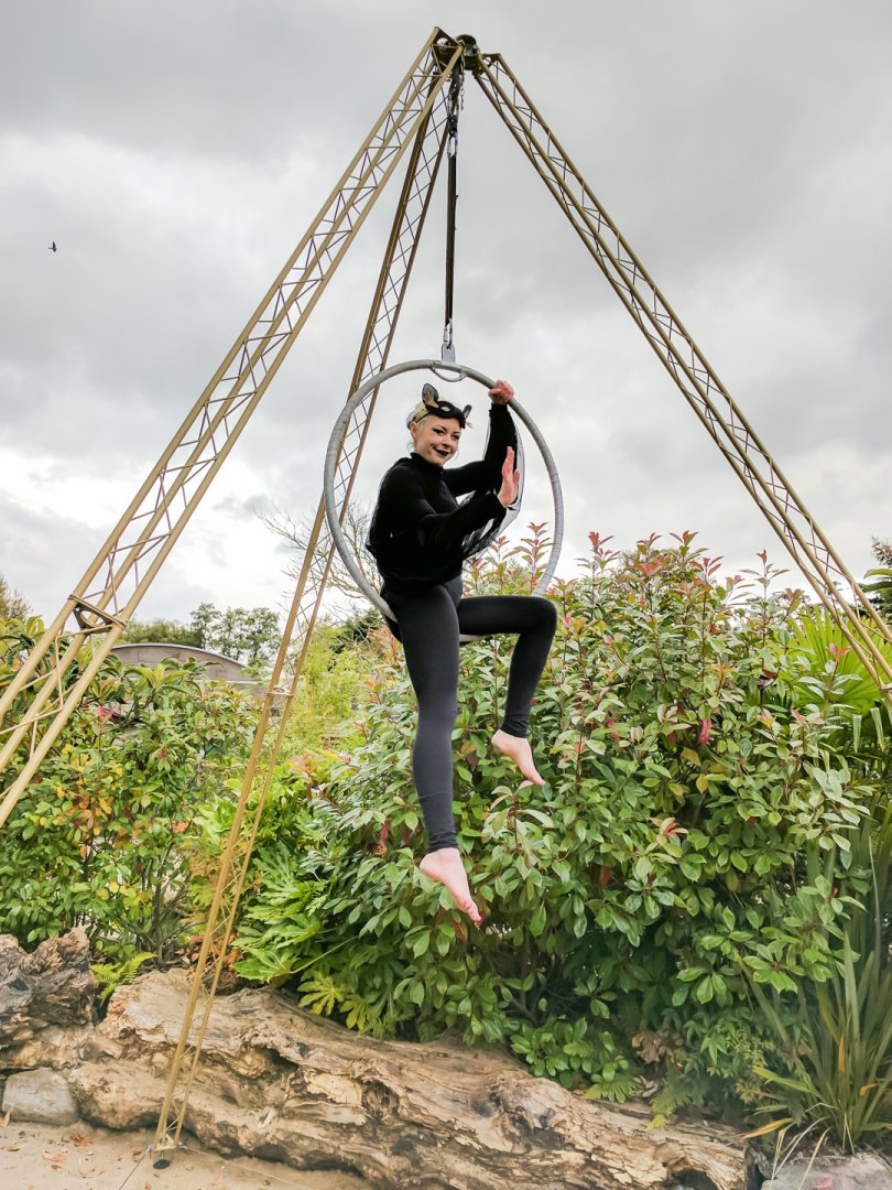 The Enchantment - 27/102/2016