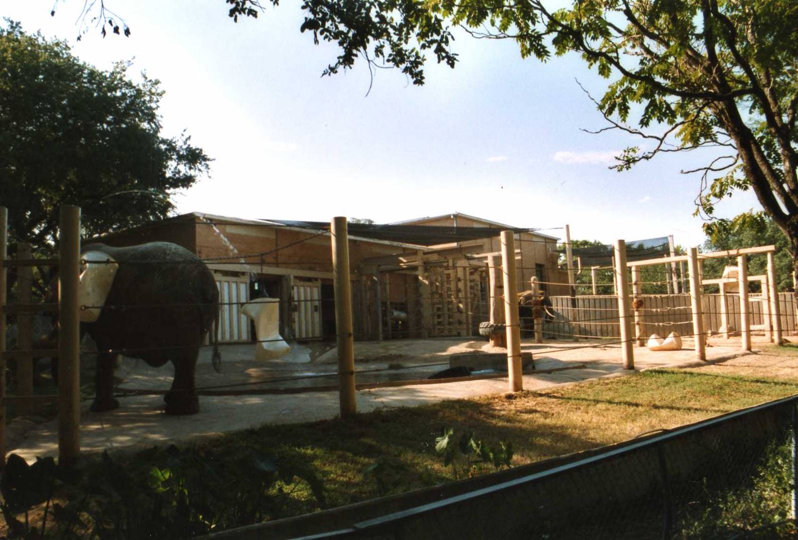 The entire elephant exhibit