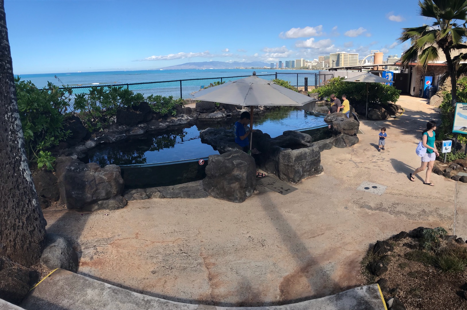 The entirety of Edge of the Reef