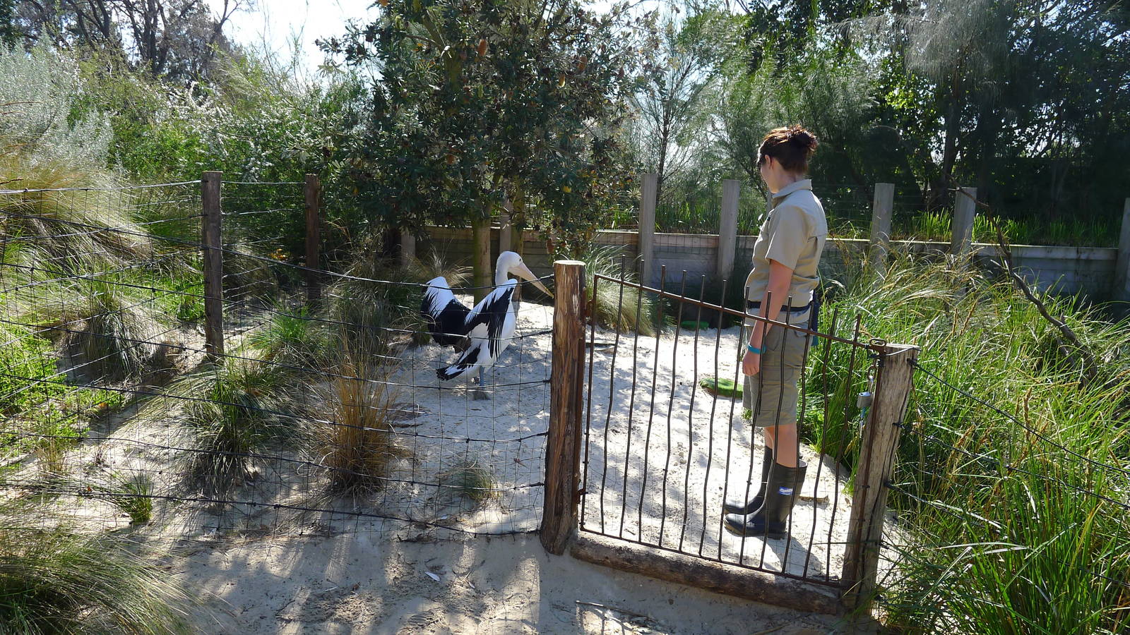 the entrance to Wild Seas exihibit