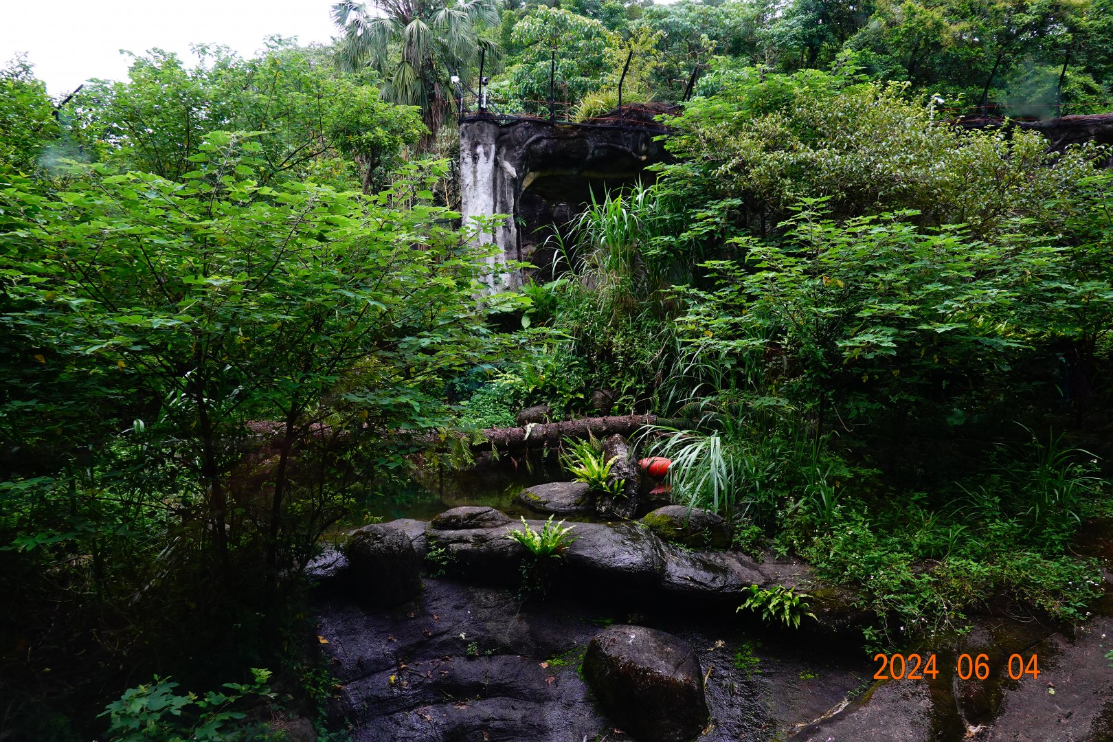 The environment of Malayan Tiger (Panthera tigris jacksoni)
