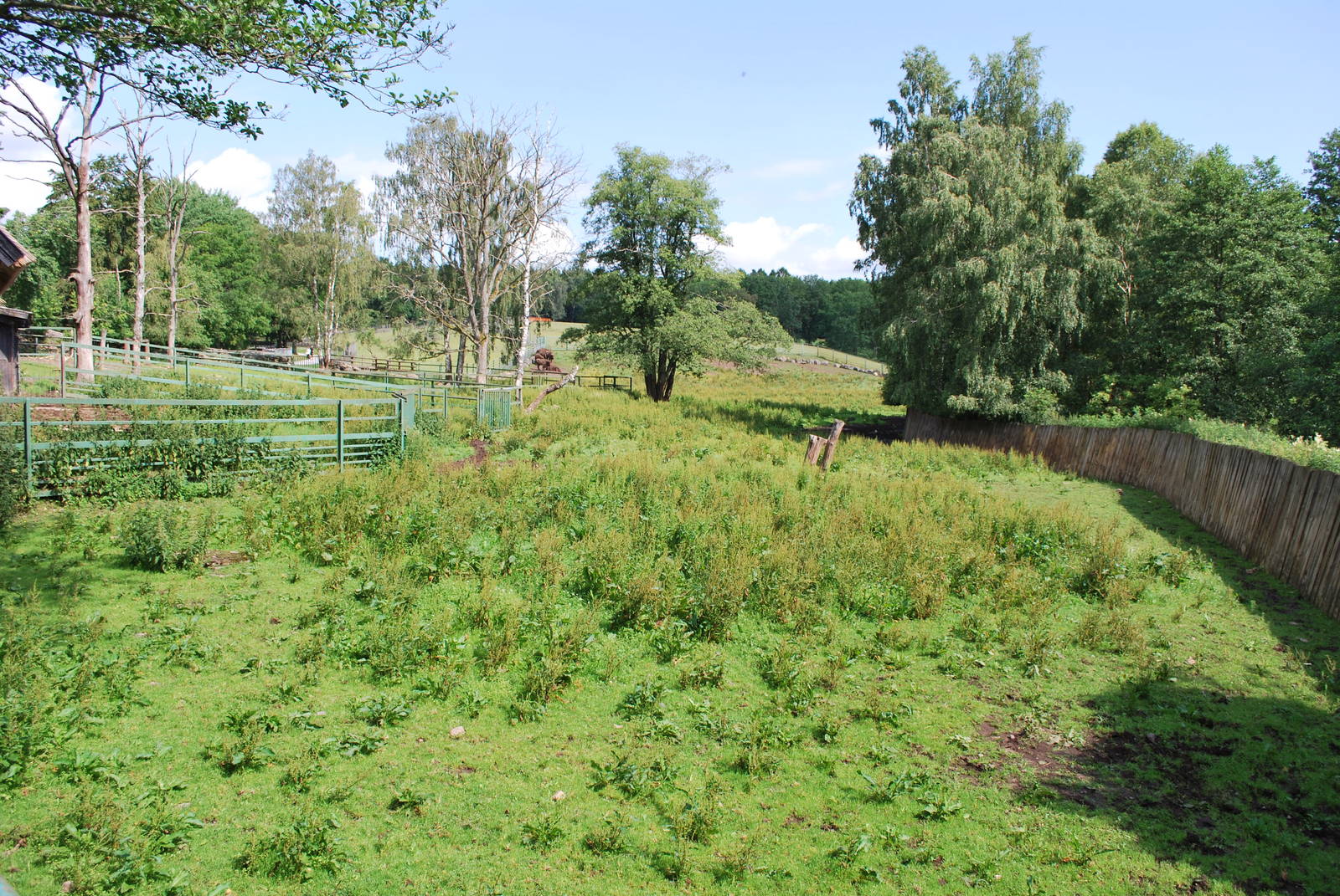 The European bison exhibit