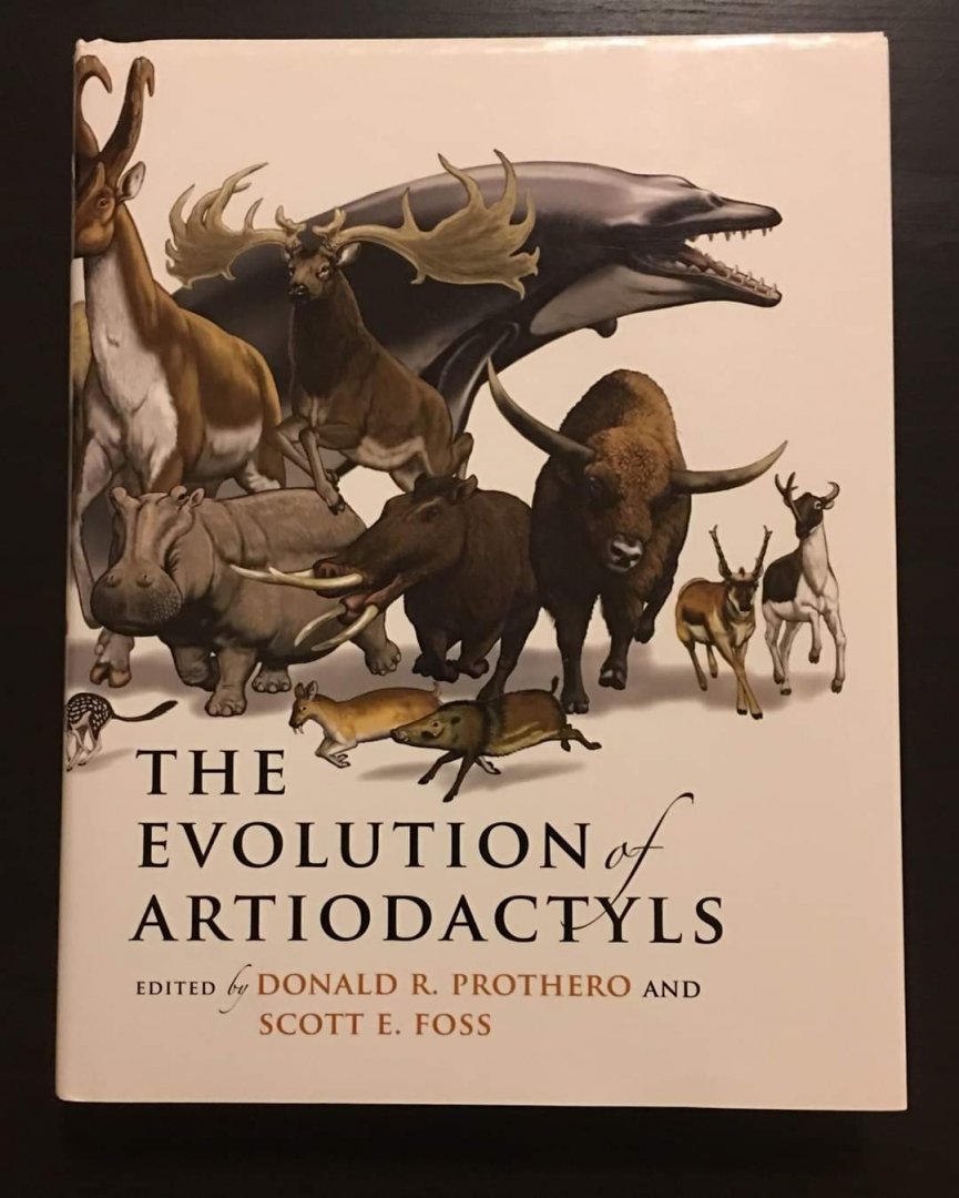 The Evolution of Artiodactyls