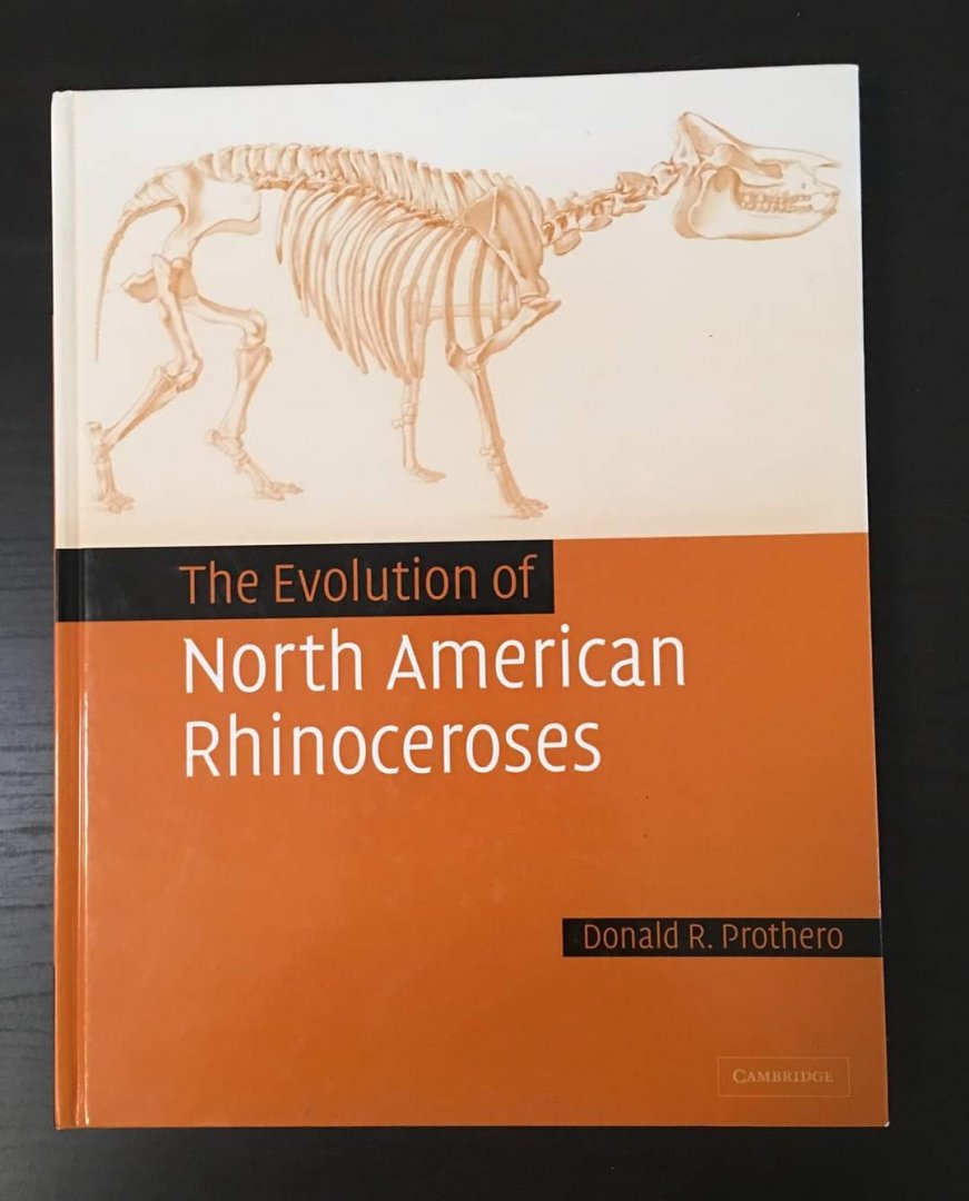 The Evolution of North American Rhinoceroses