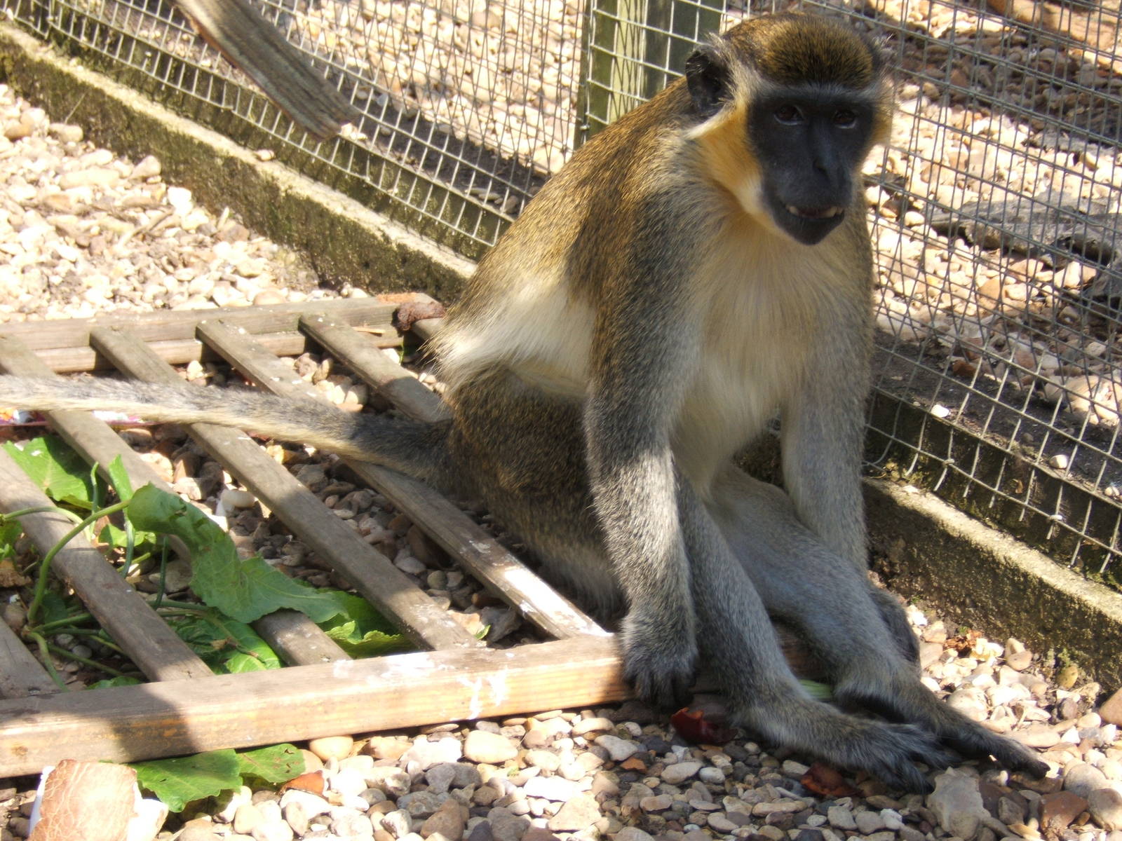 The Exotic Pet Refuge