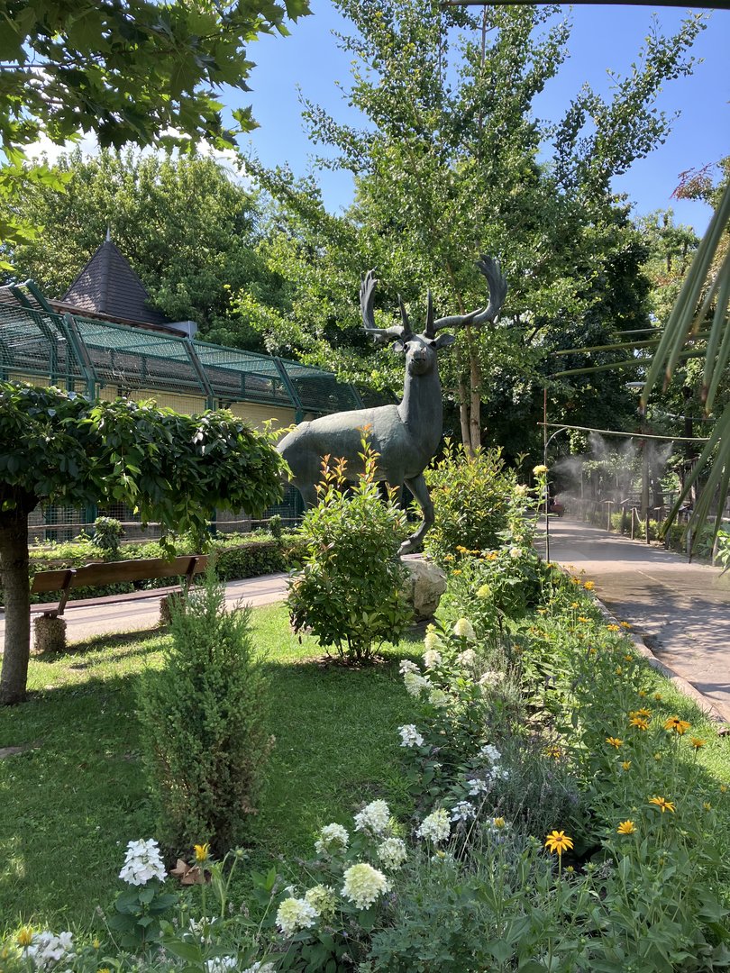 The fallow deer statue.