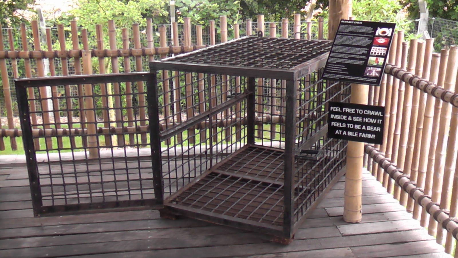 The Famous Bear Bile Cage! - RSCC August 2010