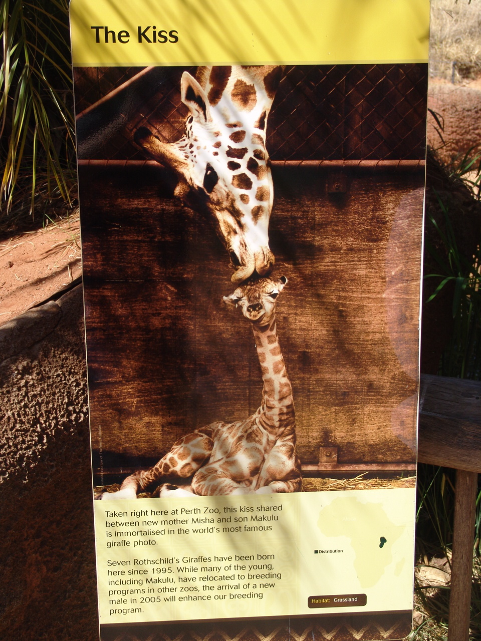 The famous 'Kiss' photograph was taken at the Perth Zoo!