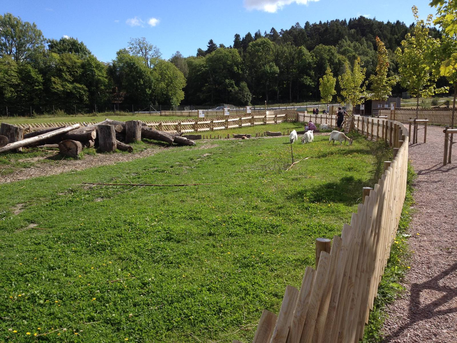 The Farm - Goat Paddock
