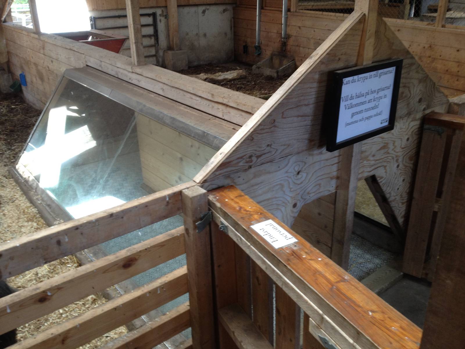 The Farm - Linder?ds pigs indoor exhibit.