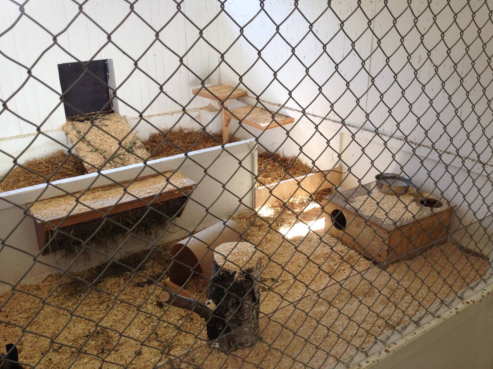 The Farm - Rabbit indoor exhibit