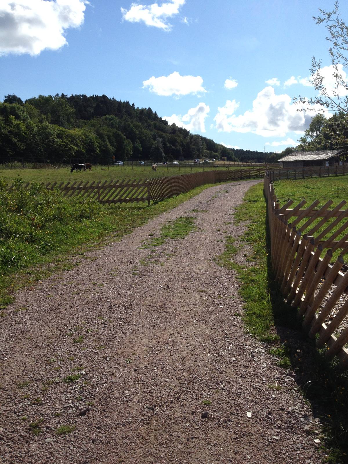 The Farm - View of paddocks