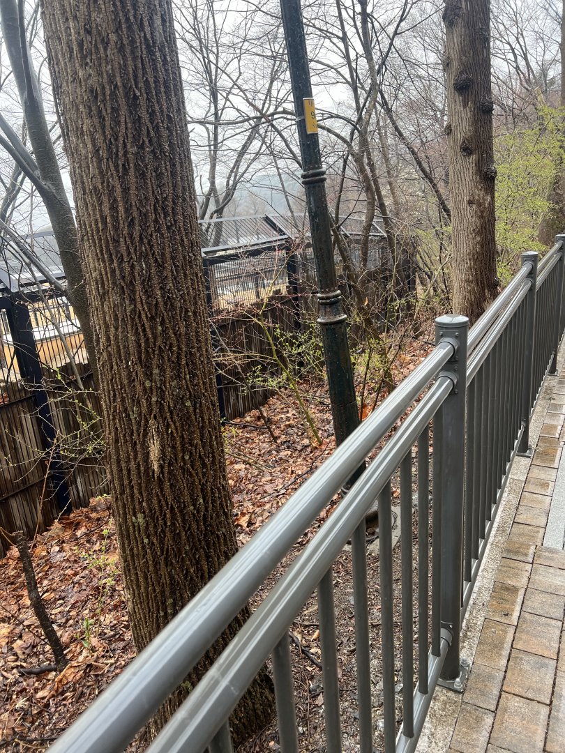 The fencing of the long-tailed goral enclosure