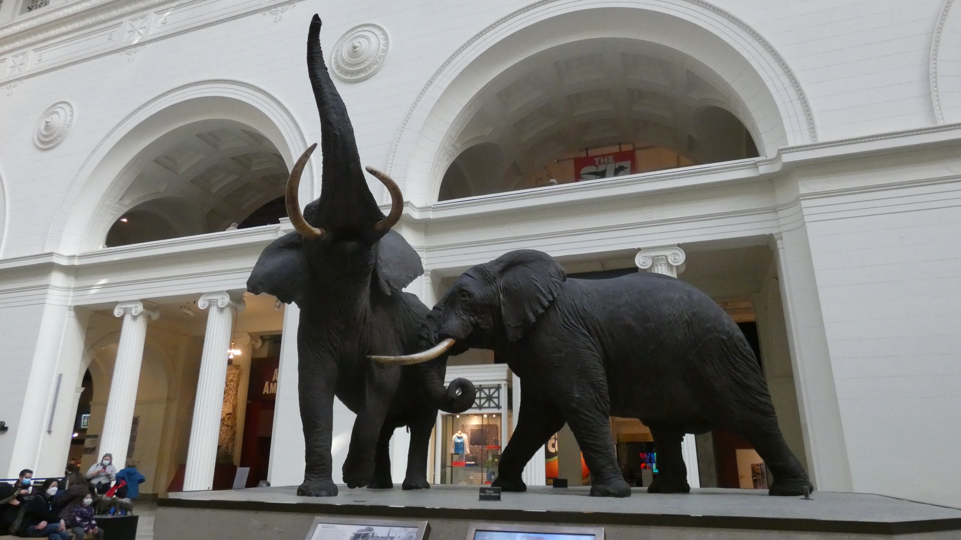 "The Fighting African Elephants", Main Hall - Feb. 2022