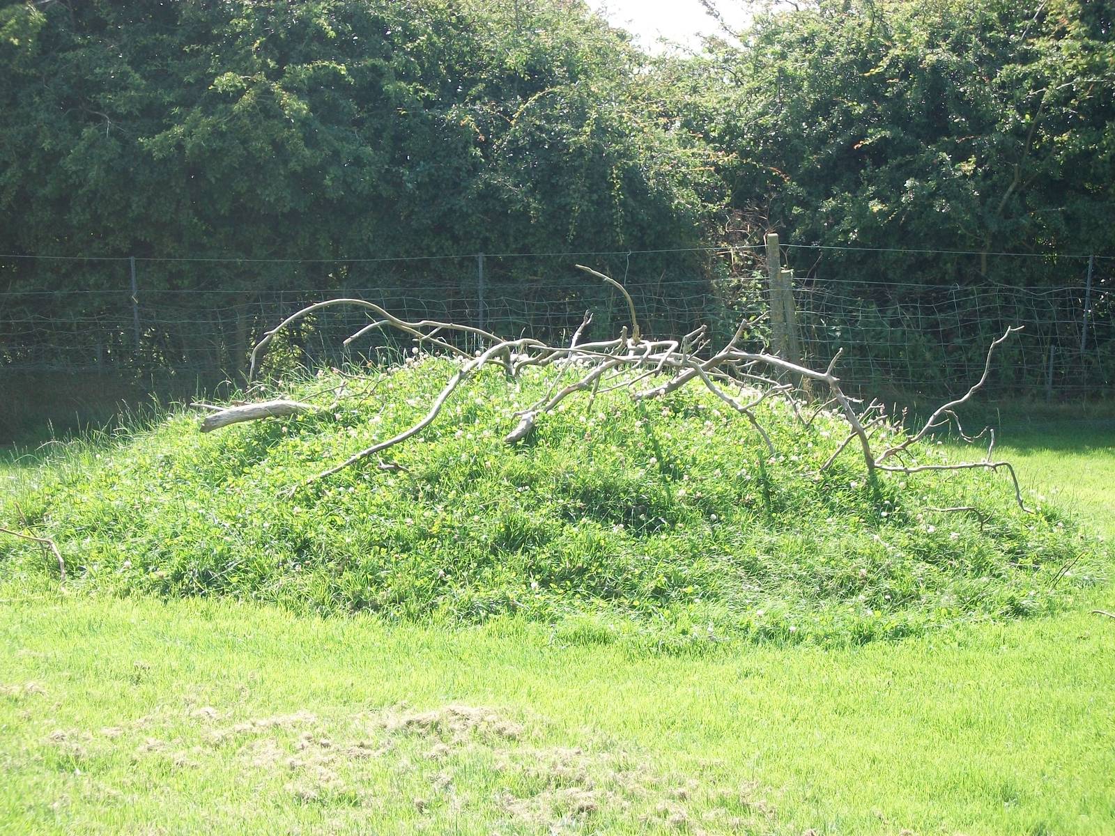 The Filey version of Goat Mountain, 24th July 2014