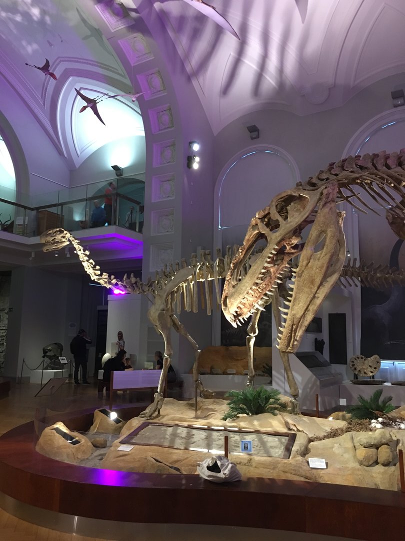 The Finnish Museum of Natural History, dinosaur exhibition