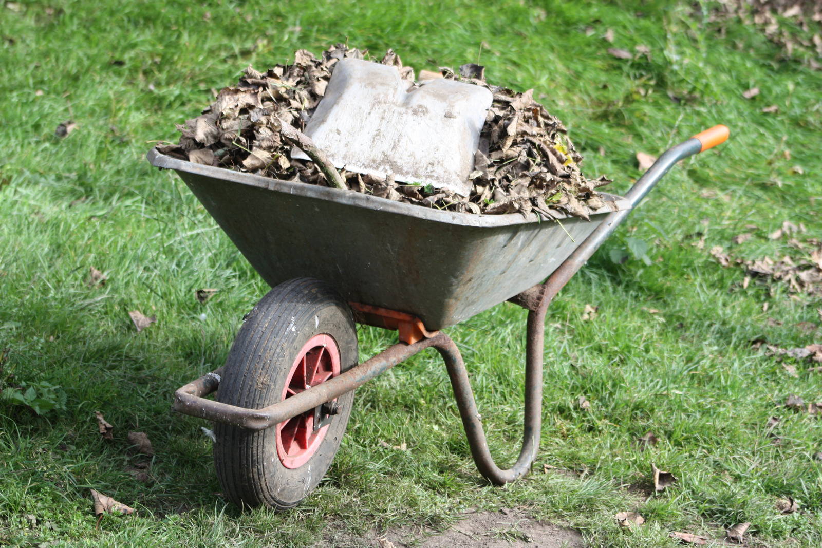 The first barrow full, 12th September 2014