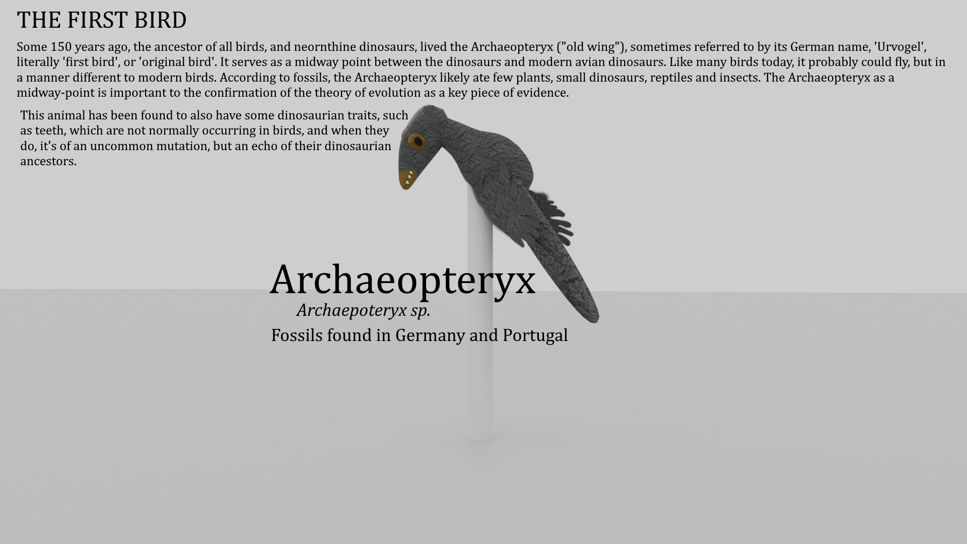 The First Bird - Display of Archaeopteryx