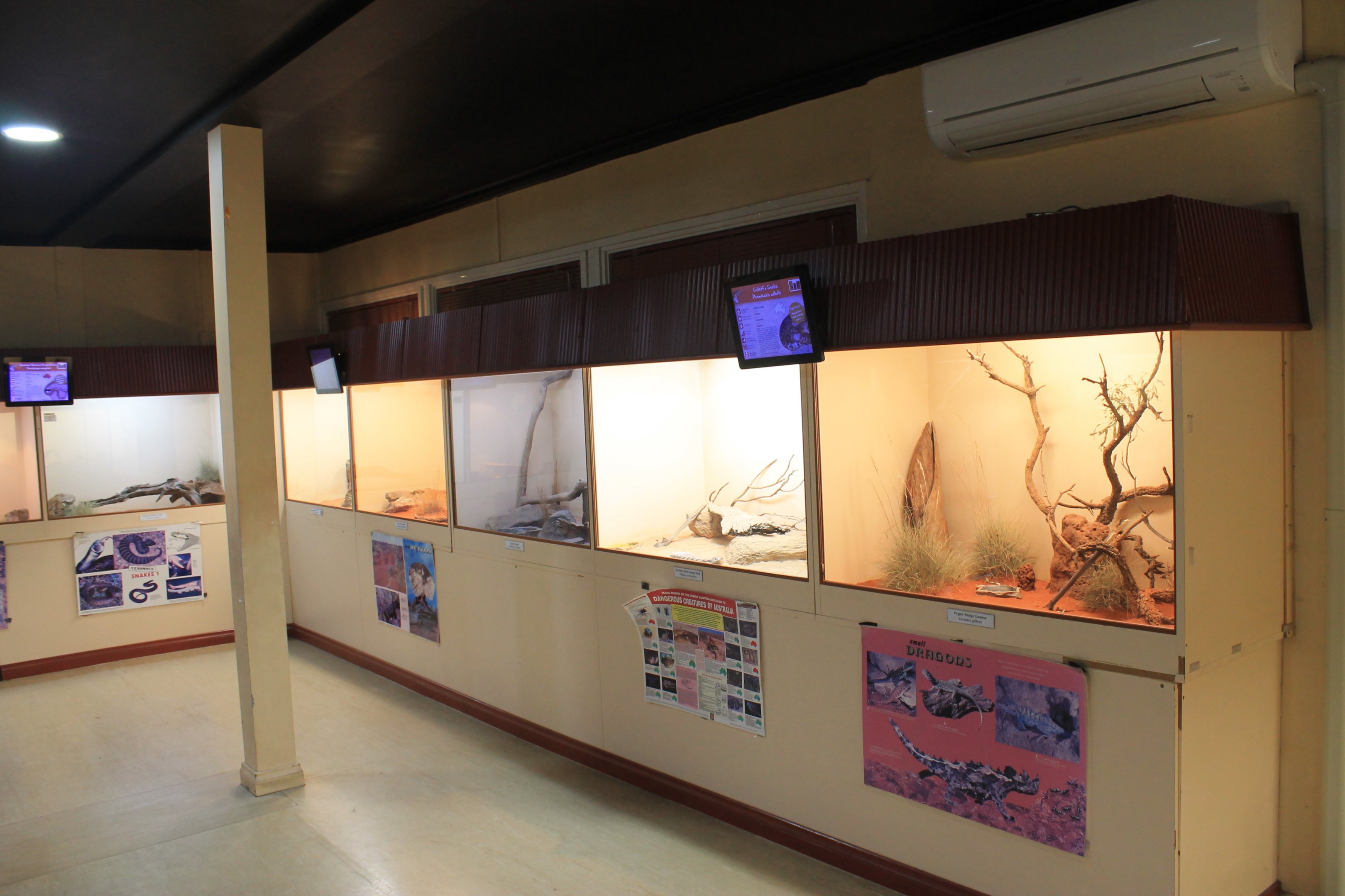 The first reptile room